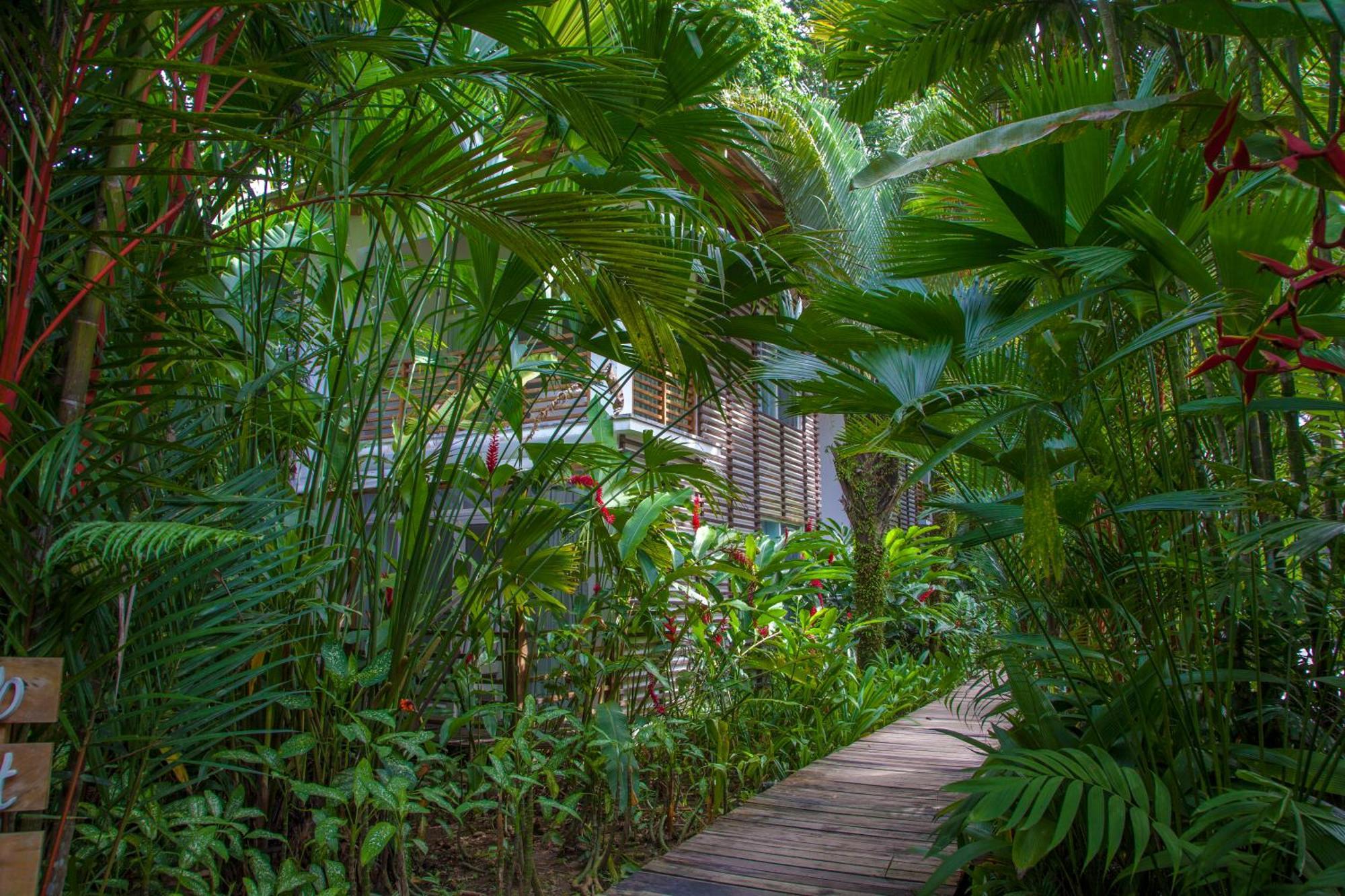 Le Cameleon Boutique Hotel Puerto Viejo de Talamanca Exterior photo